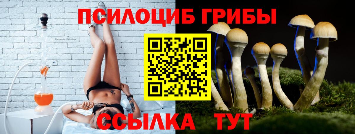 Златоуст  Псилоцибиновые грибы Psilocybe  Вход с VPN 
